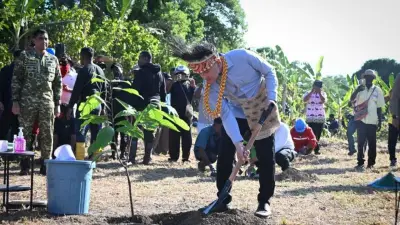 Gibran Tanam Kakao di Papua Barat, Percepat Rehabilitasi Perkebunan