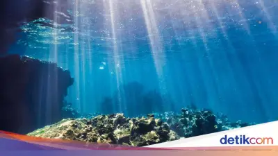 Hari Laut Sedunia 2026: Latar Belakang, Tema, dan Cara Merayakannya