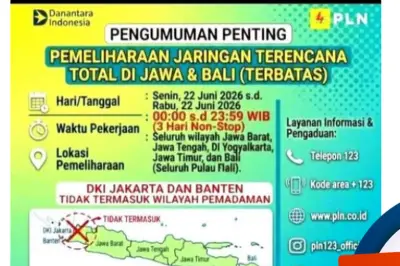 Hoaks Pemadaman Listrik Total Jawa-Bali 3 Hari, PLN Bantah