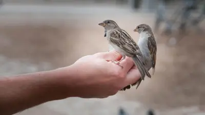 Karantina Lampung Gagalkan Penyelundupan 172 Burung Ilegal