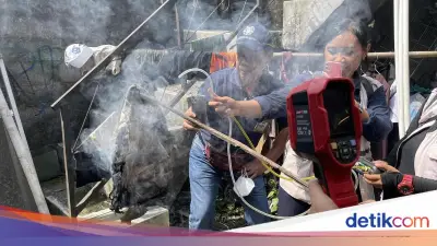 Misteri 73 Kali Kebakaran di Sleman: Gas Metana dari Rawa Diduga Penyebabnya