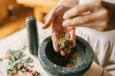 Pekan Jamu 2026 Digelar BPOM, Tampilkan Herbal Indonesia