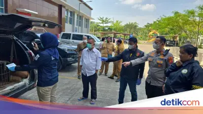 Pemilik Anjing Pemburu Tewaskan Bocah di Bogor Terancam 5 Tahun Penjara