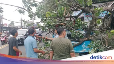 Pohon Tumbang di Simpang Talang Bogor Timpa Kios dan Angkot, Lalin Macet