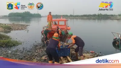 Pulau Sampah di Muara Angke Berhasil Dikeruk, 8,8 Ton Diangkut
