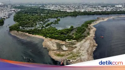 Pulau Sampah Muara Angke Hampir Bersih, Pemprov DKI Bakal Inspeksi Rutin