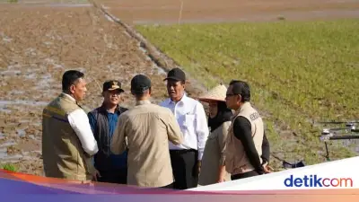 Renduk Pascabencana Bawa Harapan Baru Petani dan Ketahanan Pangan Berkelanjutan