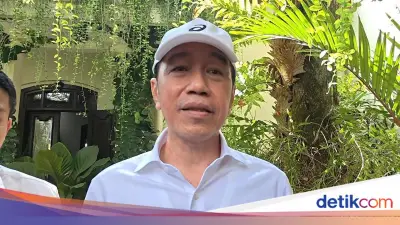 Roy Suryo dan Tifa Tak Ditahan, Jokowi: Itu Kewenangan Kejaksaan