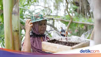 SLV Bangun Model Desa Berkelanjutan dari Madu Trigona