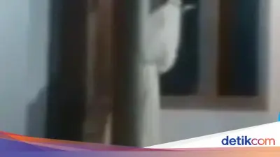 Viral Pocong Bawa Celurit di Bangkalan, Camat Pastikan Hoax