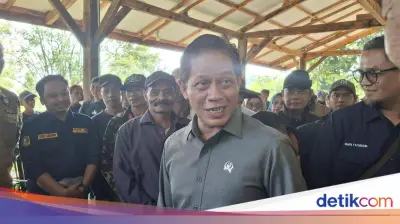 Wamenko Pangan: 80% Kebutuhan Susu Nasional Dipenuhi Impor