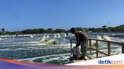 WBP di Lapas Nusakambangan Dapat Hidayah, Kini Bisa Ngaji dan Kelola Tambak Udang