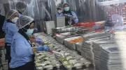 55 Dapur MBG di Batam Tutup Sementara Akibat Anggaran Belum Turun