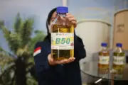 B50 Bawa Peluang Besar, Pakar Ingatkan Penerapan Bertahap