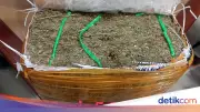 Bareskrim Gagalkan Pengiriman 5,8 Kg Ganja di Jatim, Tiga Tersangka Ditangkap