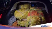 Bareskrim Ungkap Jaringan Narkoba Thailand-Aceh, 325 Kg Sabu Diamankan