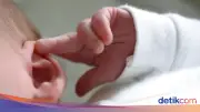 Bayi Laki-laki Ditemukan Hidup dalam Kardus di Lapangan Basket Bogor