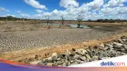 BMKG: 83 Zona Musim Masuki Puncak Kemarau Juli 2026