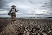 BRIN Bantah El Nino Godzilla Sebabkan Kekeringan Hebat di Indonesia
