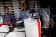 BRIN Manfaatkan Teknologi Nuklir untuk Tingkatkan Daya Saing Produk Pangan