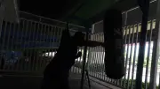 Cegah Tawuran Lewat Penjaringan Boxing, Tanding Tinju di Rusun