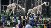 Daftar Lengkap Tempat Wisata Gratis HUT Jakarta ke-499