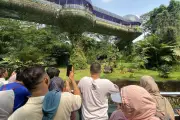 Gratis Masuk Ragunan, Ancol, Monas di HUT ke-499 Jakarta