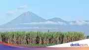 Gunung Semeru Erupsi Tiga Kali Pagi Ini, Abu Capai 900 Meter