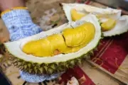 Harga Durian Musang King di Malaysia Anjlok ke Rp 26.000 per Kg