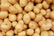 Jangan Simpan Kentang di Kulkas, Ini Bahaya Kesehatannya