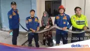 King Cobra 4 Meter Masuk Garasi Rumah Warga Bogor, Damkar Evakuasi