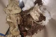 Kuliner Pedas di Jogja: Sensasi Makan Siang yang Membakar Lidah