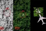 Malaysia Perpanjang Kontrak Pencarian MH370 dengan Ocean Infinity