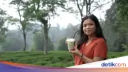 Matcha Lokal Indonesia: Bisakah Bersaing dengan Matcha Jepang?