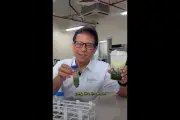 Menkes Uji Gula Es Teh, Es Kopi Susu, Es Cendol Pinggir Jalan Trending