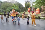 Nikmati Ayam Goreng Sambil Lihat Zebra di Royal Safari Garden Puncak