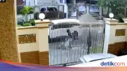 Pembagian Peran 2 Pelaku Percobaan Penculikan Kakek di PIK Terungkap
