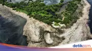 Penyebab 'Pulau Sampah' di Muara Angke: Kiriman dari Hulu