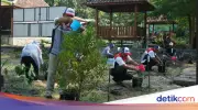 Peringati Hari Lingkungan Hidup, Pertamina Tanam 1.000 Pohon dan Perkuat Inovasi Sampah