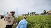 Petani Papua Terbang ke Gorontalo Temui Prabowo dan Belajar Teknologi Pertanian