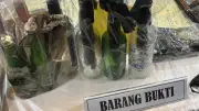 Polisi Ungkap Pelaku Pelemparan Molotov di Koja Diduga Empat Orang