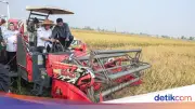 Produksi Padi Jawa Tengah Tembus 6,69 Juta Ton, Ahmad Luthfi Siapkan Antisipasi Kemarau