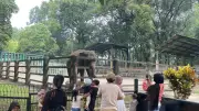 Ragunan Siapkan 27 Titik Parkir Tambahan untuk Antisipasi Lonjakan Pengunjung