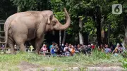 Rekor Kunjungan Ragunan Tembus 135.500, Pramono Siapkan Kejutan HUT ke-500 Jakarta