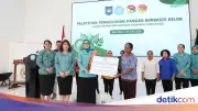 Staf Ahli TP PKK Dukung Kelor NTT Jadi Komoditas Bernilai Gizi-Ekonomi
