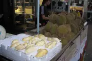 Tsunami Durian: Harga Musang King Anjlok di Malaysia dan Singapura