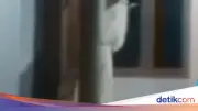 Viral Pocong Bawa Celurit di Bangkalan, Camat Pastikan Hoax