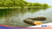 Warga Temukan Mayat Pria di Sungai Cisadane Saat Tebang Bambu