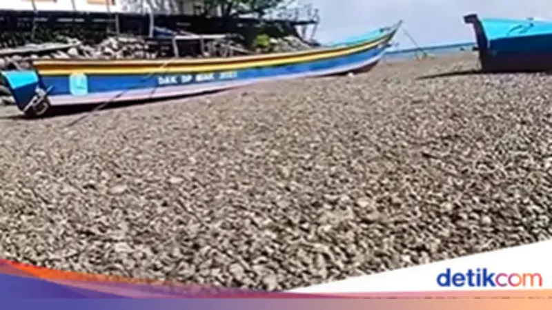 BMKG Ungkap Asal Batu Apung Viral di Perairan Papua dari Gunung Api Bawah Laut