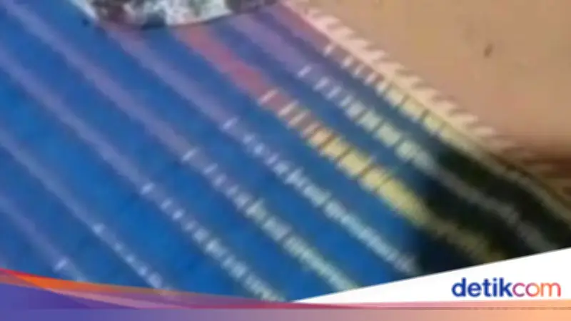 Bocah 5 Tahun di Pekalongan Tewas Digigit Ular Weling saat Tidur